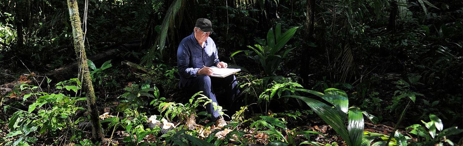 Il était une forêt