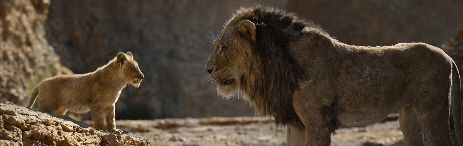 Le roi lion