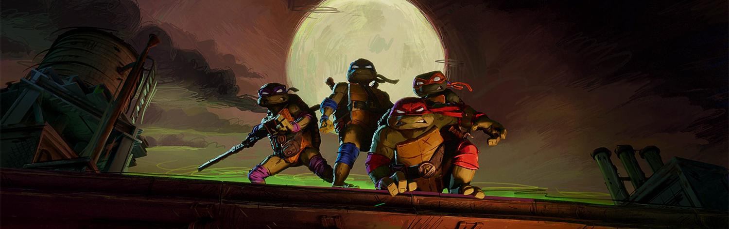 Ninja Turtles : Teenage Years