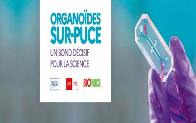 Questions de Science - Organoïdes-sur-puce